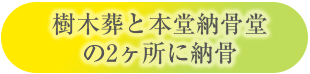 樹木葬と本堂納骨堂の2箇所に納骨